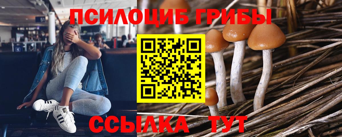 Галлюциногенные грибы MAGIC MUSHROOMS Курган